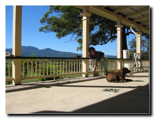 027 Verandareinigung